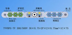 扁平絞合型排列帶屏蔽、鋼芯和視頻線電梯電纜