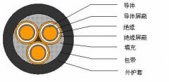 3*2.5，3*3，3*4，3*6，3*10，3*16，3*25屏蔽電纜結(jié)構(gòu)圖