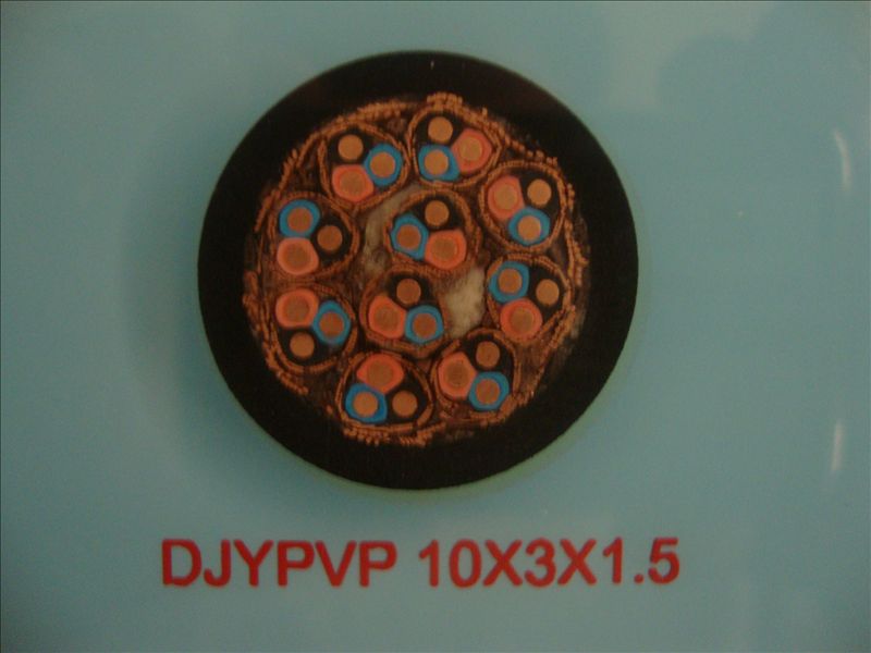 DJYVP22 DJYPV22 DJYPVP22計算機(jī)屏蔽電纜