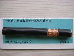 DJYPVP 2*2*0.75 分屏蔽、總屏蔽電子計(jì)算機(jī)屏蔽電纜